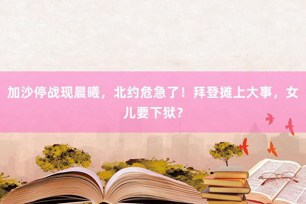 加沙停战现晨曦，北约危急了！拜登摊上大事，女儿要下狱？