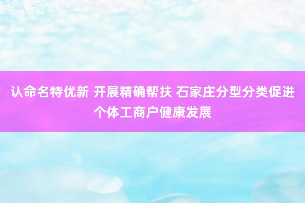 认命名特优新 开展精确帮扶 石家庄分型分类促进个体工商户健康发展