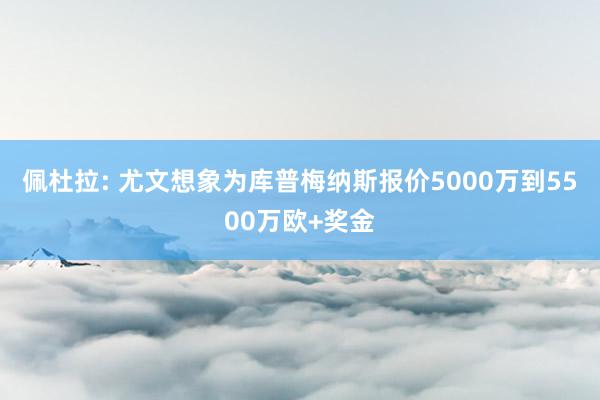 佩杜拉: 尤文想象为库普梅纳斯报价5000万到5500万欧+奖金