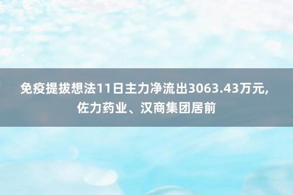 免疫提拔想法11日主力净流出3063.43万元, 佐力药业、汉商集团居前