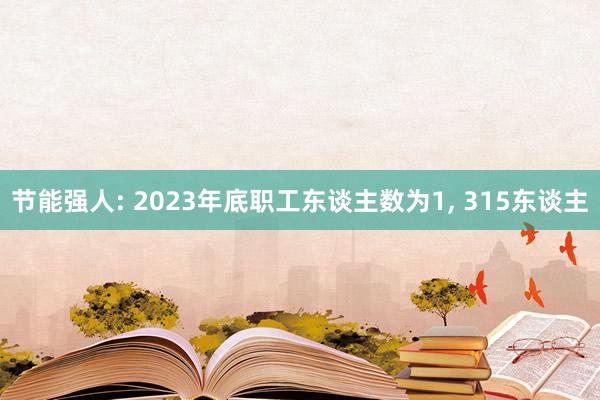 节能强人: 2023年底职工东谈主数为1, 315东谈主