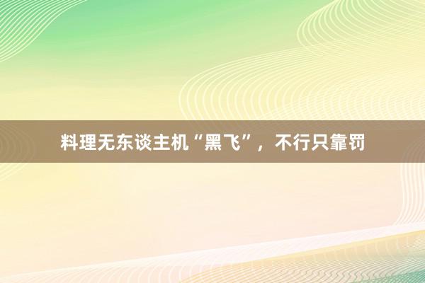 料理无东谈主机“黑飞”，不行只靠罚