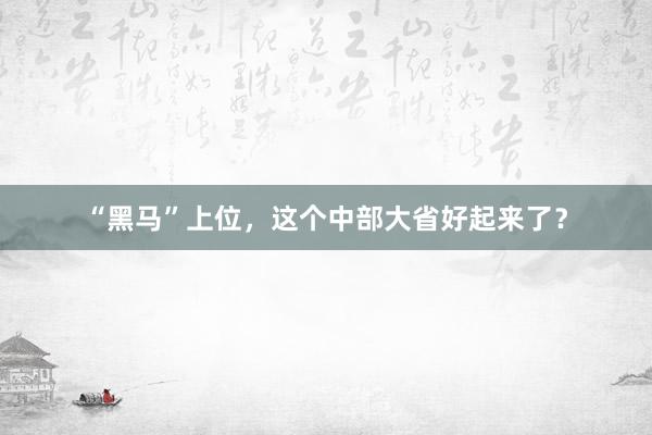 “黑马”上位，这个中部大省好起来了？