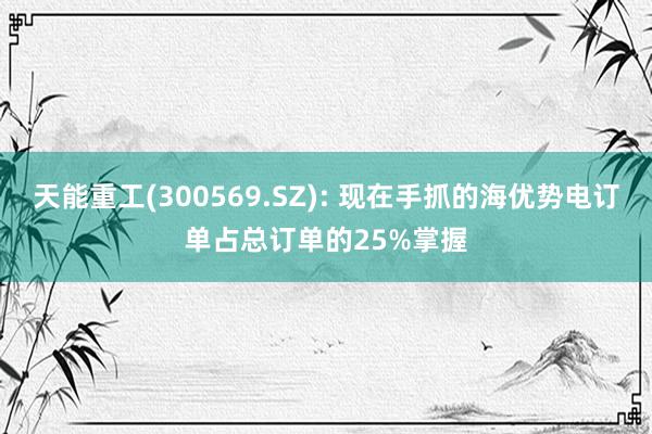 天能重工(300569.SZ): 现在手抓的海优势电订单占总订单的25%掌握