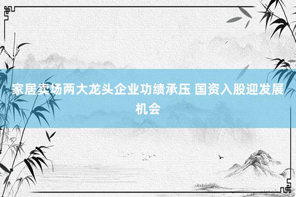 家居卖场两大龙头企业功绩承压 国资入股迎发展机会