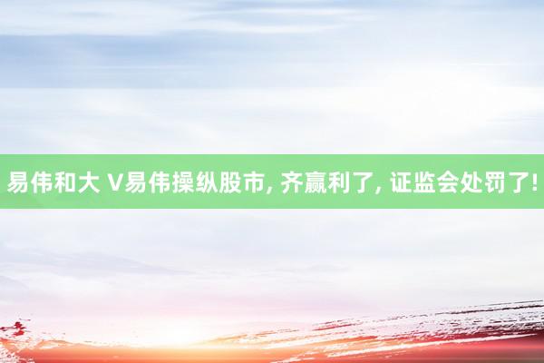 易伟和大 V易伟操纵股市, 齐赢利了, 证监会处罚了!