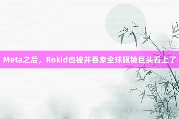 Meta之后，Rokid也被并吞家全球眼镜巨头看上了